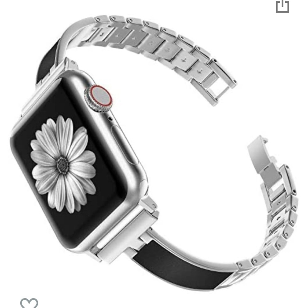 Apple Watch Silver and Black Band